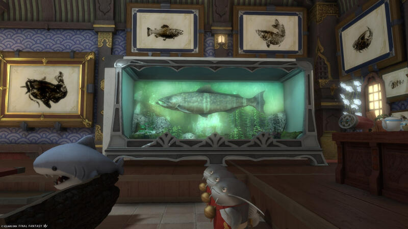 Fish Room5 Fish Room5