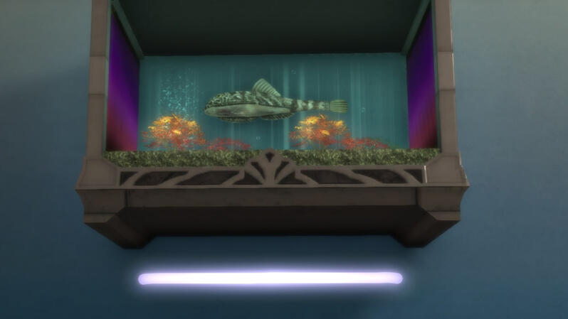 DT Fish Room4